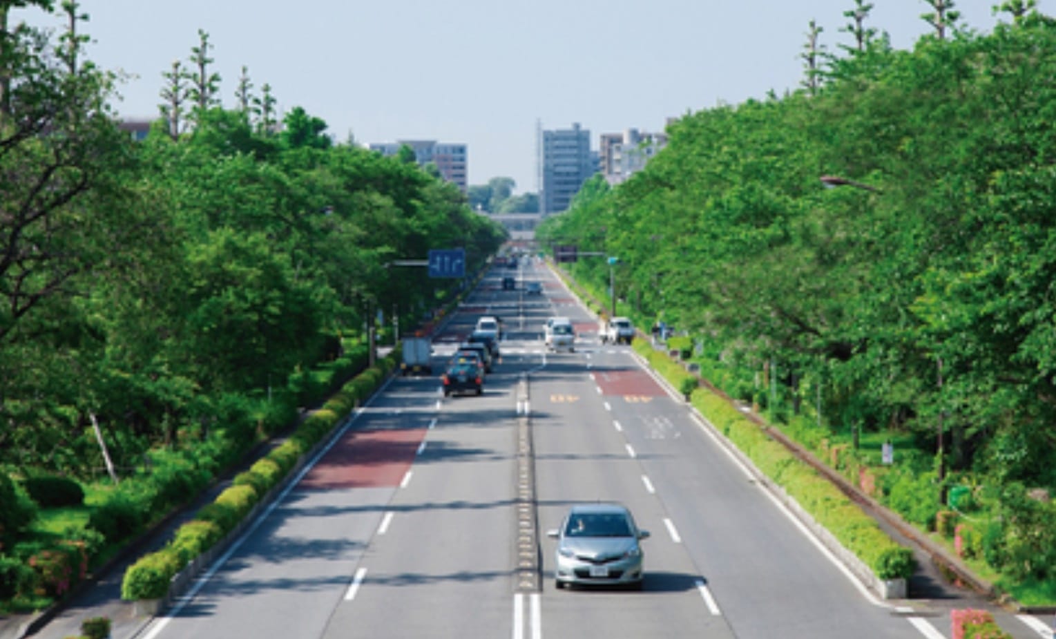 国立市の大通り - 大学通り