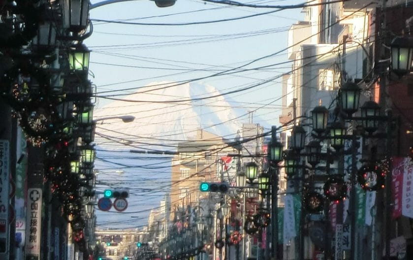 国立市の大通り 富士見通り 国立散歩 (くにたちさんぽ)|国立情報